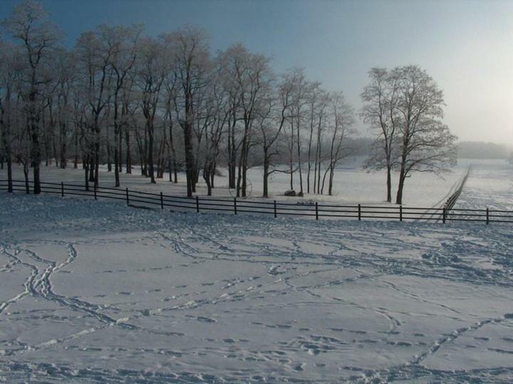 Letchworth Farm 호텔 Nunda 외부 사진