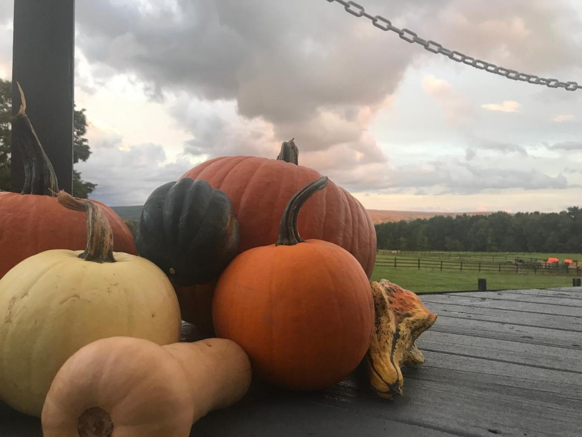 Letchworth Farm 호텔 Nunda 외부 사진